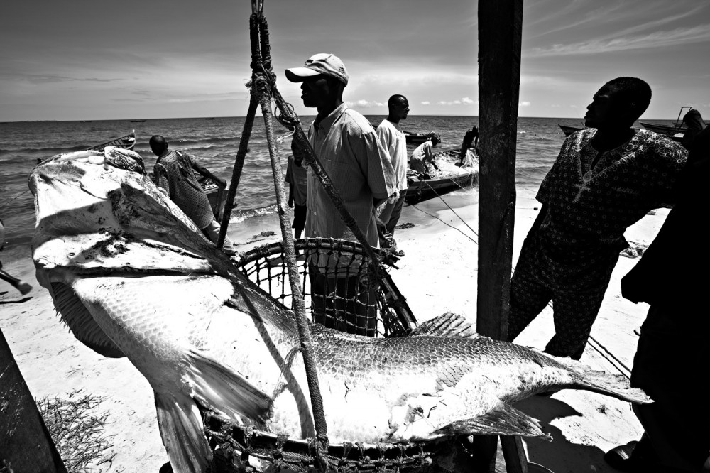 Art and Documentary Photography - Loading FVO-Albino-Killing-Tanzania-10.jpg