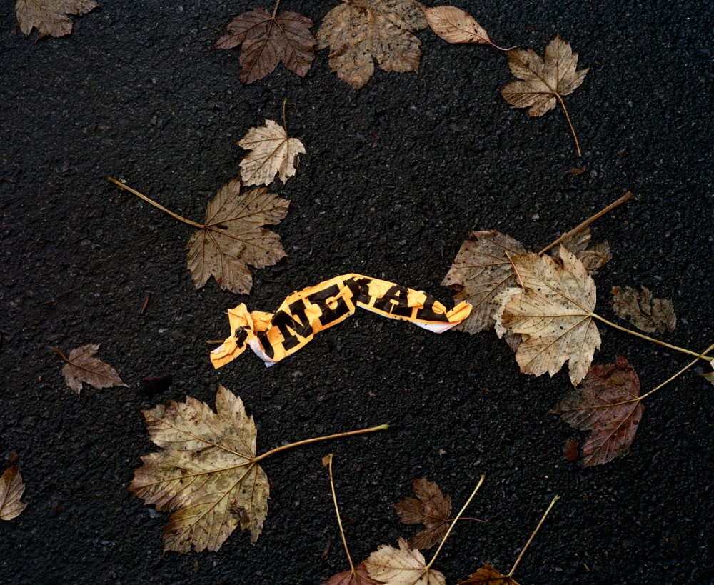 Art and Documentary Photography - Loading mattaustin_15.jpg