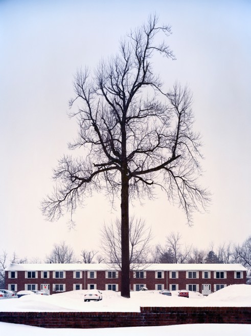 Art and Documentary Photography - Loading mattaustin_30.jpg