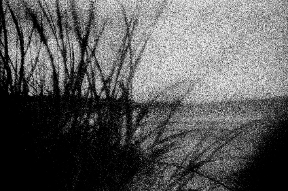 Art and Documentary Photography - Loading LOOMING_0035.JPG
