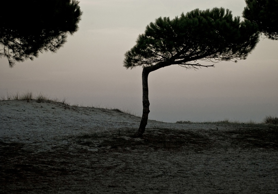 Art and Documentary Photography - Loading 15_dsc_6035.jpg