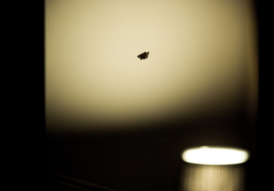 Art and Documentary Photography - Loading DSC_5531.jpg