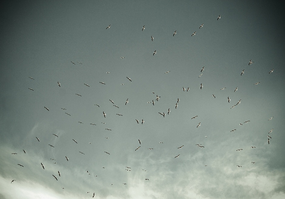 Art and Documentary Photography - Loading DSC_9136.jpg