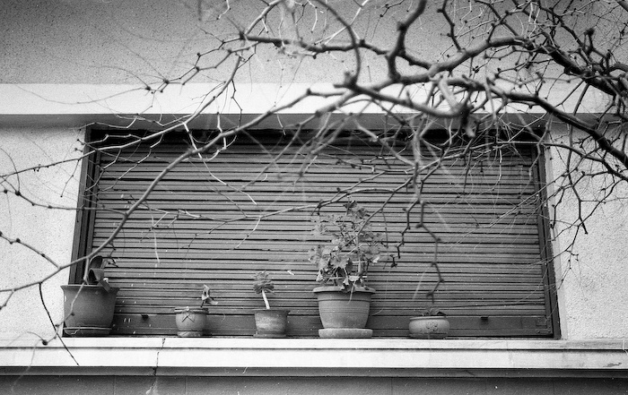 Art and Documentary Photography - Loading # 27 neopan 400 iso - 10.jpg