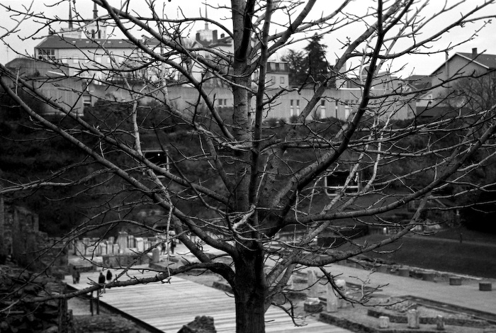 Art and Documentary Photography - Loading 17 kodak t-max21.jpg