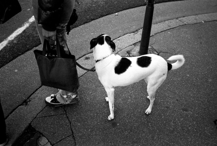 Art and Documentary Photography - Loading 17 kodak t-max36.jpg