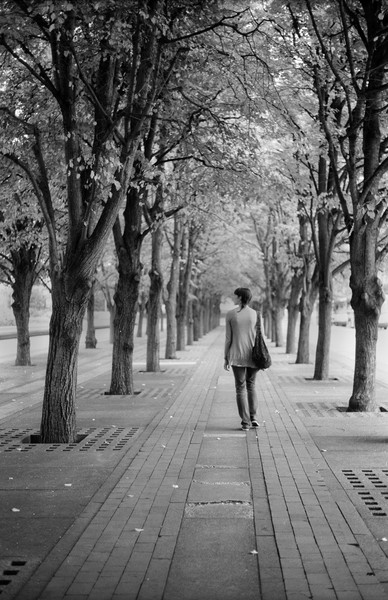 Art and Documentary Photography - Loading Meg_Trees_large.jpg